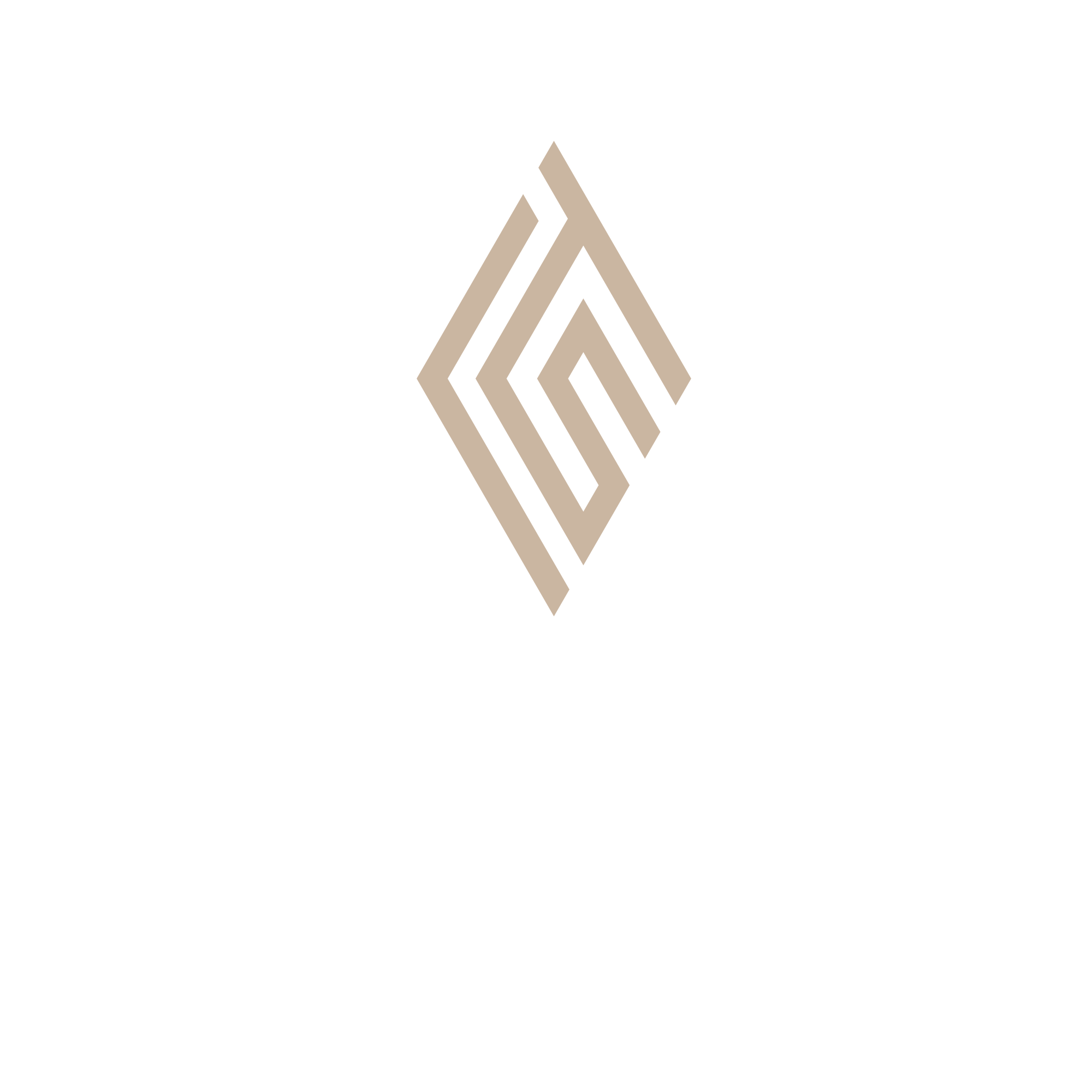 Todd Legal Search Inc. Logo